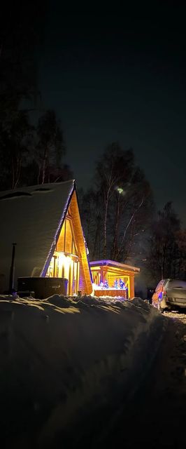 Wild Cabin Panoramic Mărișel