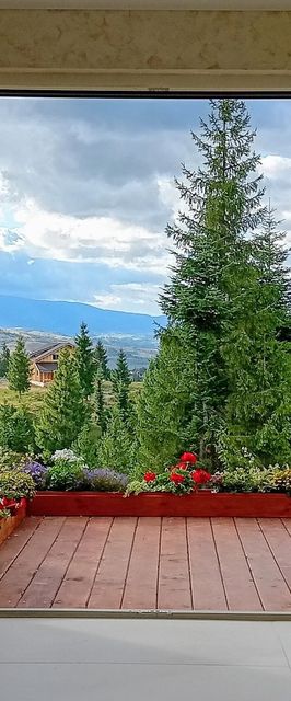 Casa Harmony Retreat Dealu Negru