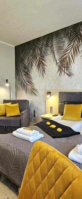 365PAM - Studio Dominikańska Szóstka - Sianożęty