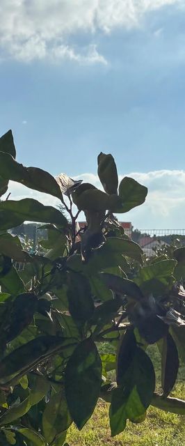 Apartman Zadar - CDY326