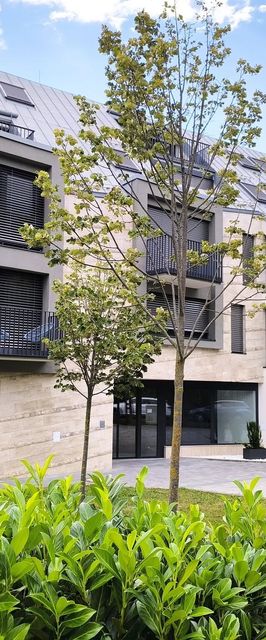 Sunshine Residence Silver Apartment Hévíz