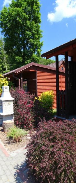 Domki Przy Lesie Stegna