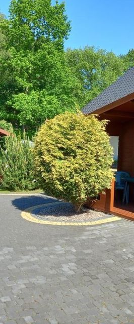 Domki Letniskowe w Świnoujściu