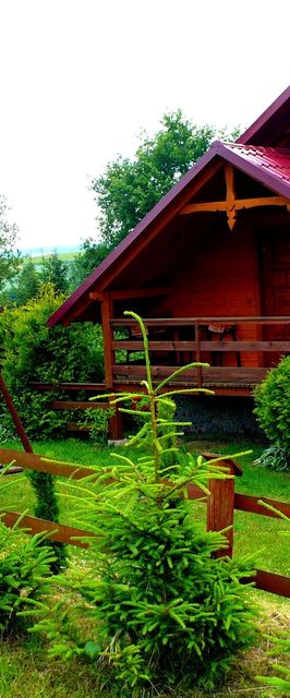 Agroturystyka Zielona Zagroda w Kosztowej