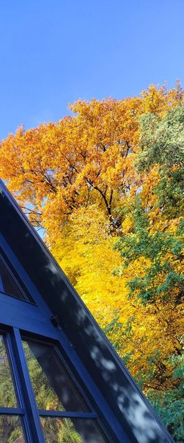 Mura Doftana A frame Valea Doftanei