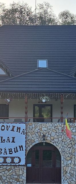 Pensiunea Bucovina-Plai Strabun Cacica 