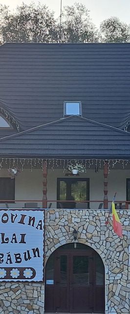 Pensiunea Bucovina-Plai Strabun Cacica 