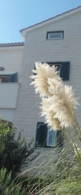 Apartments Azur Ilovik