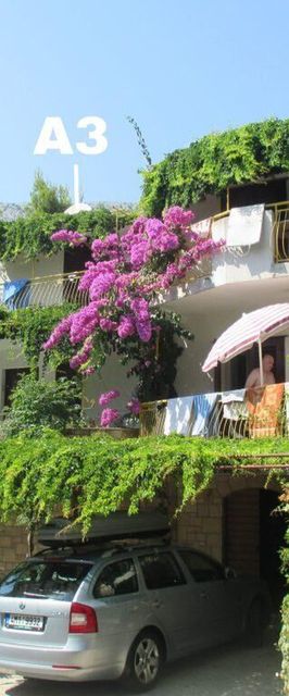 Apartments Godo Ivan Dolac