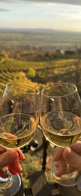 Fenn a Hegyen Vendégház Somló Somlóvásárhely