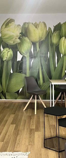 Green Harmony Apartman Pécs