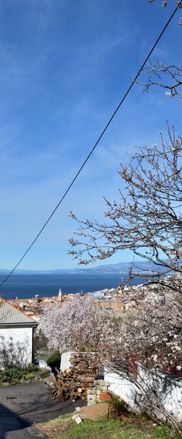 Apartment Sasa Senj
