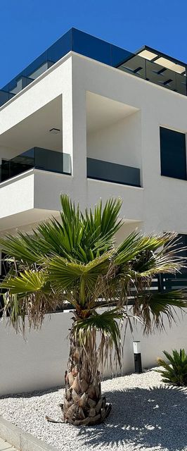Apartments D Palm Tree Vir