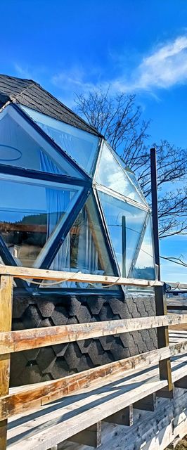 DOM Vladeasa Rogojel