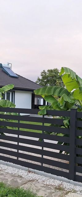 Silver Chill Apartman Abádszalók