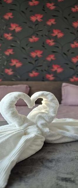 Sofia Apartament Piatra Neamț