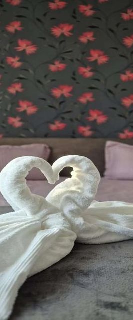 Sofia Apartament Piatra Neamț