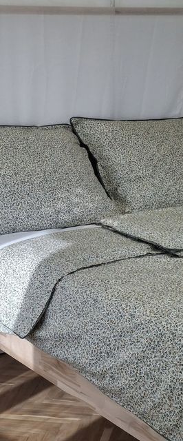 Villa Hortensia Aszófő