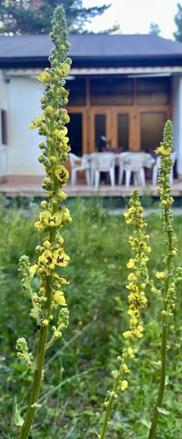Vintage Lake House Siófok