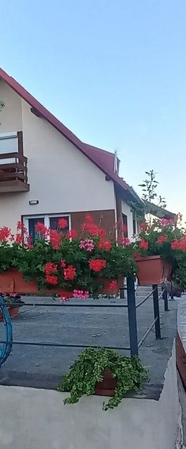 Bike & Garden Relax Apartman Balatonfüred