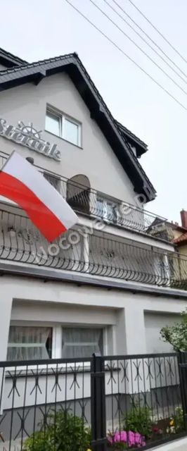Sternik dziwnówek