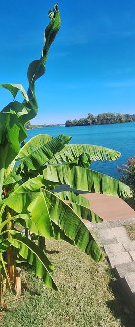 Vízparti Horgász és Nyaraló Ház Gyékényes