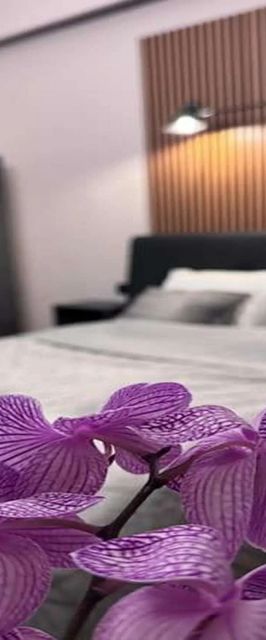 Apartament Comfort & Style Victoriei București