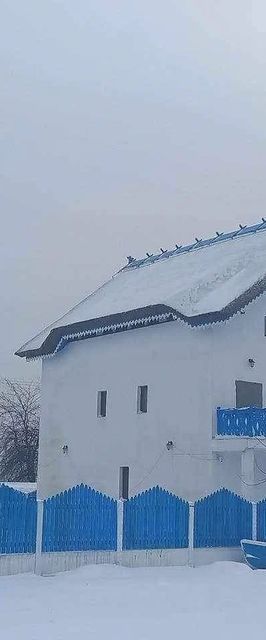 Casa cu Flori Mila 23