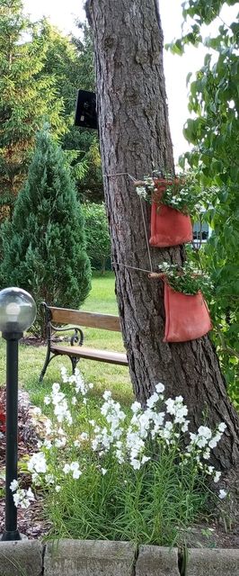 Gościniec Pod Świerkami Naćmierz