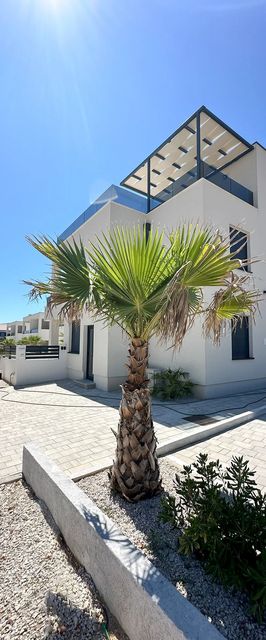 Apartments B Palm Tree Vir