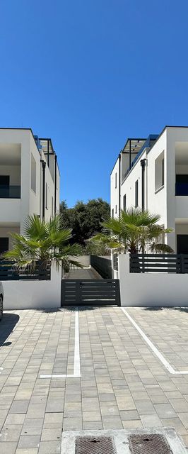 Apartments C Palm Tree Vir