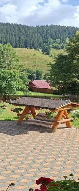 Cabana La Bălănuț Fundu Moldovei