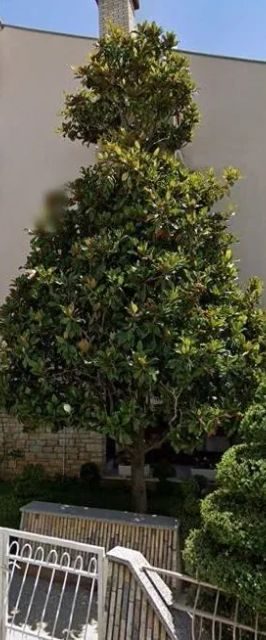 Apartmanok és Szobák Parkolóhellyel Pakostane, Biograd - 24768 Pakoštane