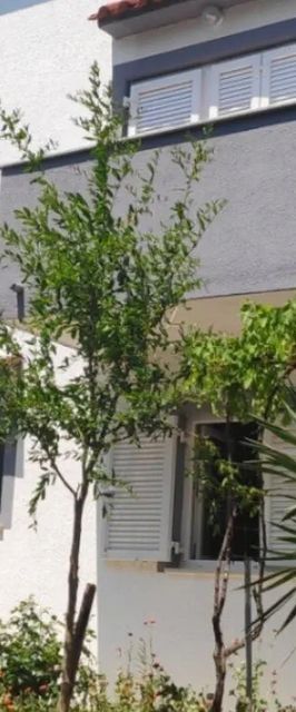 Apartment Kathy Shilo Silo