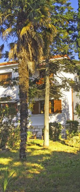 Apartment Azzurra Njivice