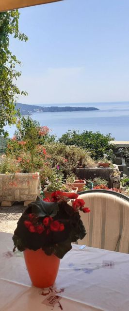 Apartment Miho Trsteno