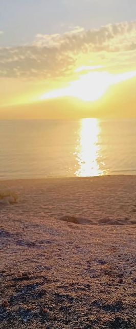 Sunrise Vila Constanța