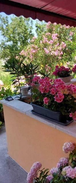 Apartment Near the sea Kampor