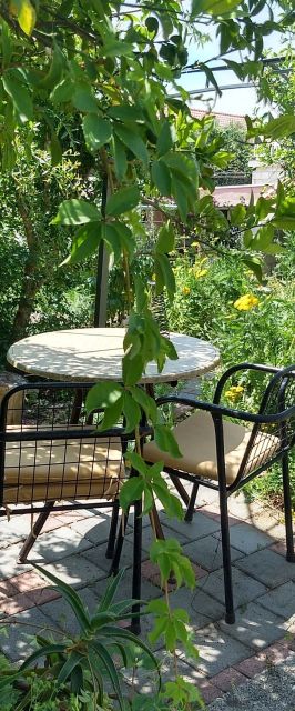 Apartmanok Parkolóhellyel Orebic, Peljesac - 22379 Orebić