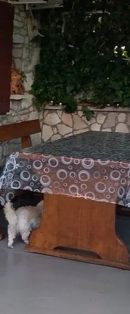 Apartments With Parking Space Brgod, Raša - 25223 Brgod