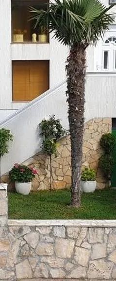 Apartmanok Parkolóhellyel Vodice - 25282