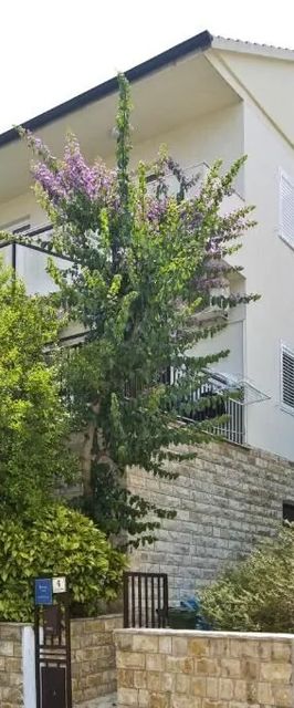 Apartmanok Internet Hozzáféréssel Hvar - 25301