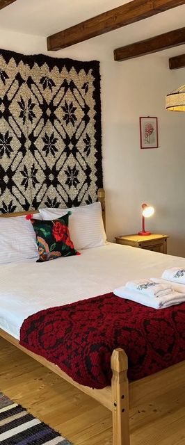 Casa Brăduț Dorna-Arini