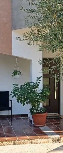 Apartments Renovated cozy studios Palit