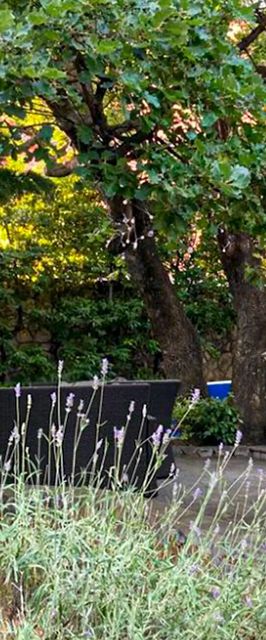 Apartman Novi Vinodolski - CKN891