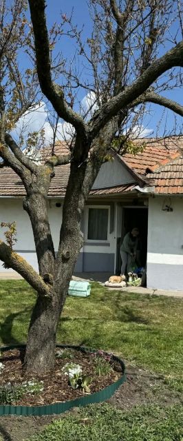 Prisca Lak Apartman Tiszanána