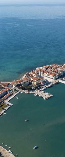 Apartment Elettra 1 Umag