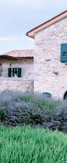 Villa Vicenca Malinska
