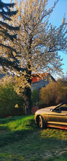 Hegyi Panorámás Csillagos Ház Pilisszántó