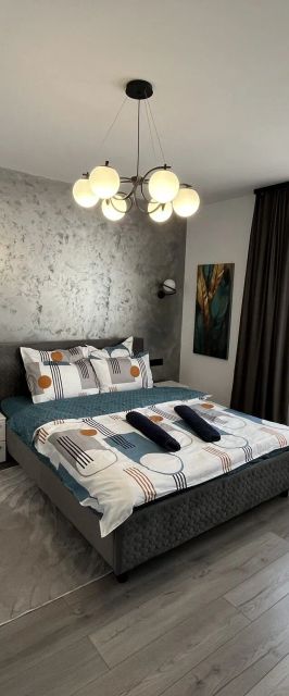 Ideal House Rent Petroşani